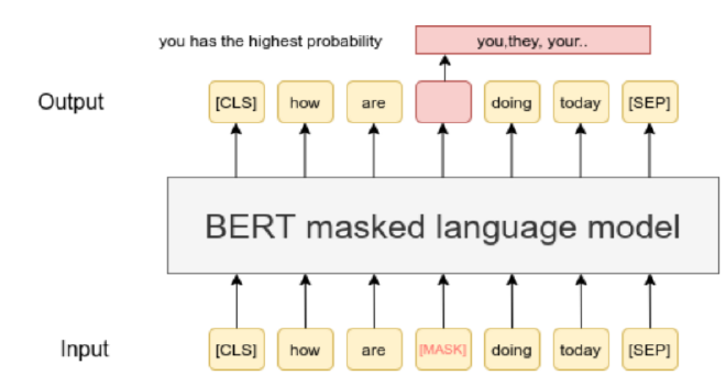 Masked Language Modeling